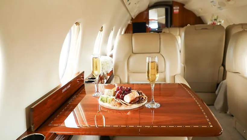 2009 Gulfstream G200 - Photo 5