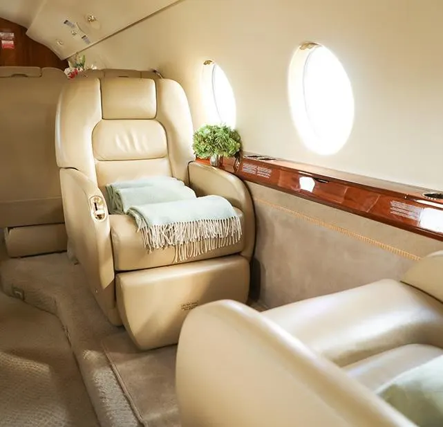 2009 Gulfstream G200 - Photo 9