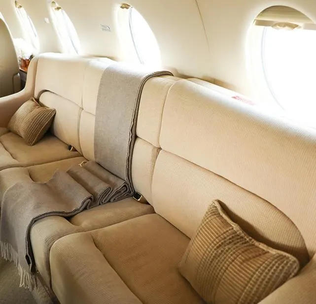 2009 Gulfstream G200 - Photo 11