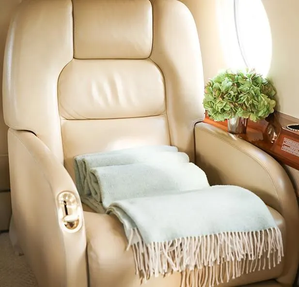 2009 Gulfstream G200 - Photo 12