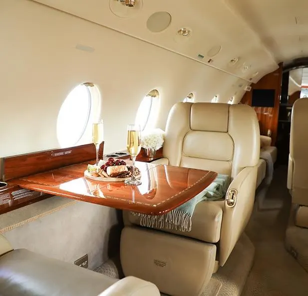 2009 Gulfstream G200 - Photo 13