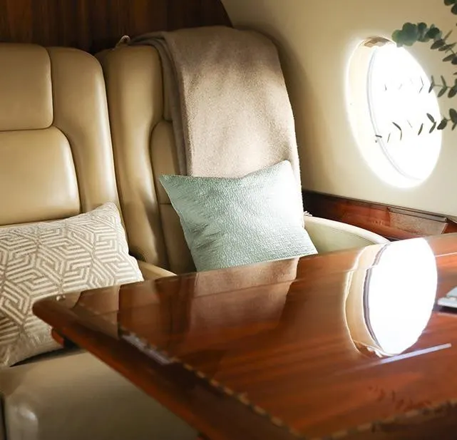 2009 Gulfstream G200 - Photo 15